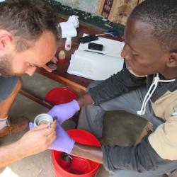 tanzania